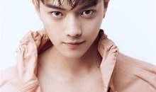 吃瓜娱乐八卦白鹿许凯,吃瓜娱乐八卦中的甜蜜邂逅